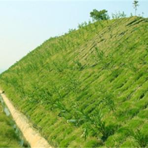 高速公路邊坡治理