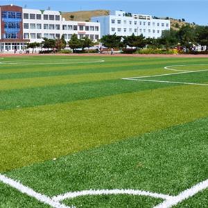 云南大學(xué)草坪綠化工程展示